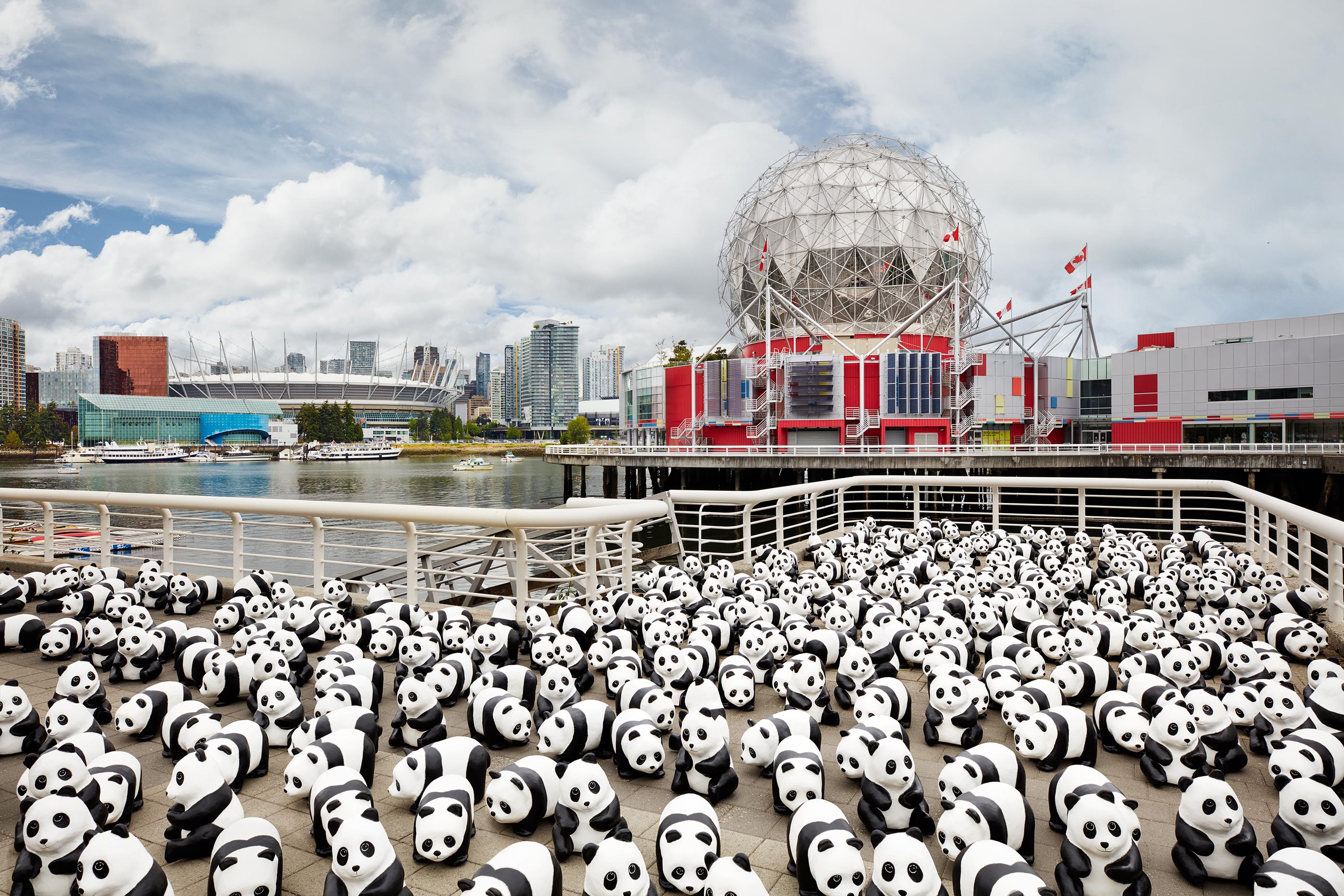 1600+ Pandas - Science World