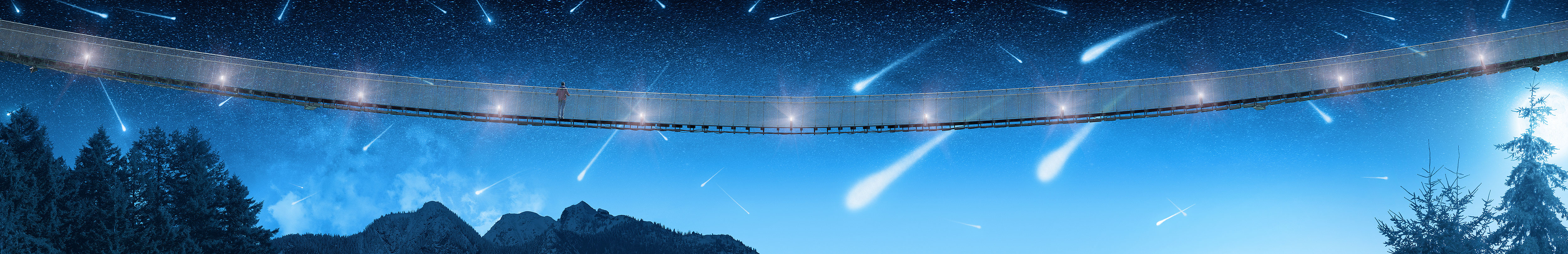 Capilano Suspension Bridge - Shooting Stars