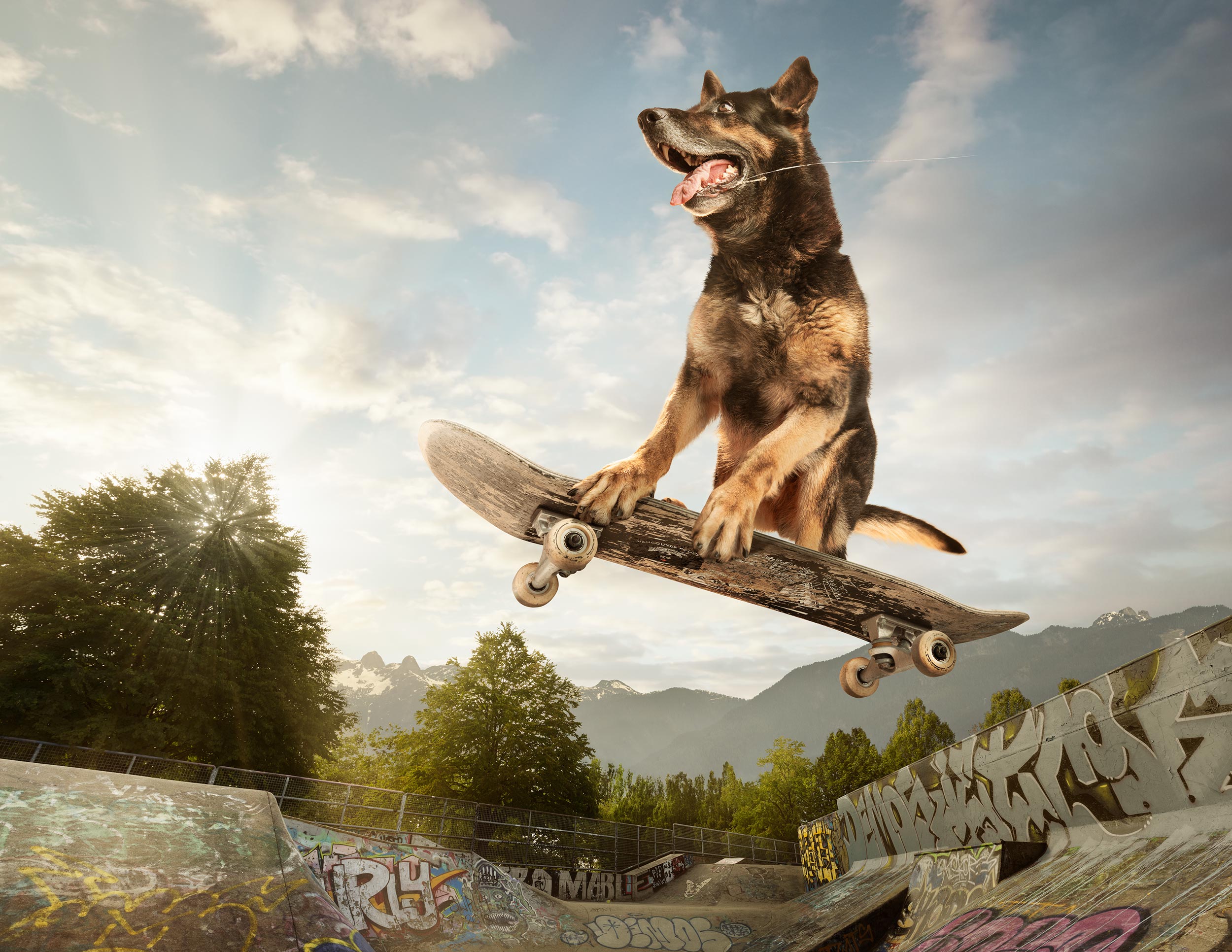 VPD K9 2020 Calendar - Skateboarding